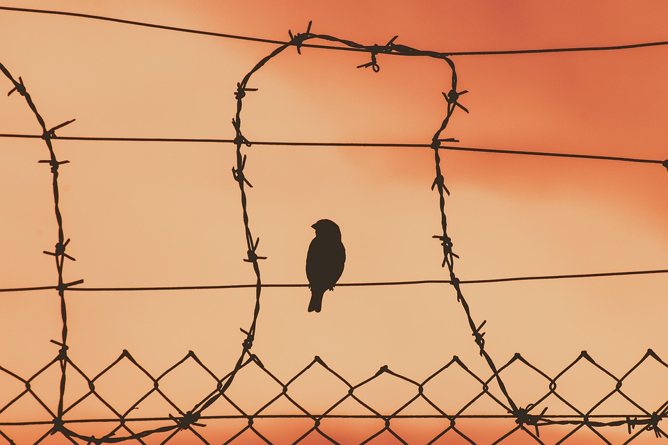 compassionate release-early release- inadequate medical care-prison care