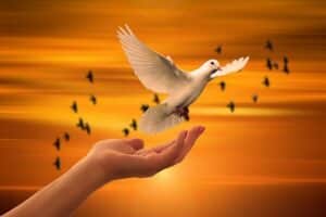 Compassionate Release