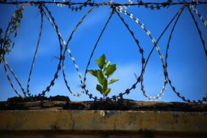 Prisoner- Gets -Accommodations Instead of Compassionate Release